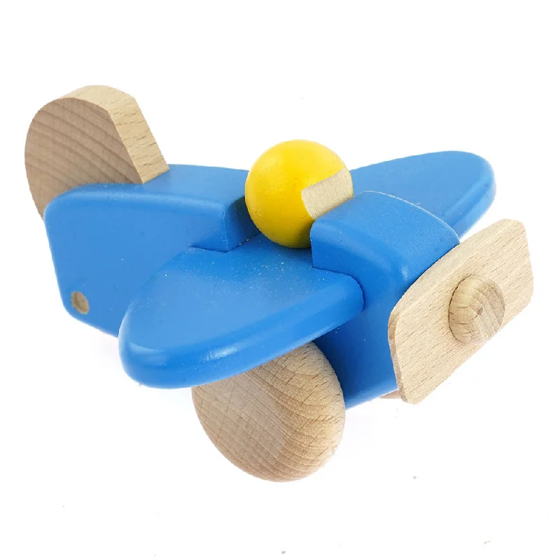 - Custom pet birthday cakeBajo Plane With Pilot - Blue