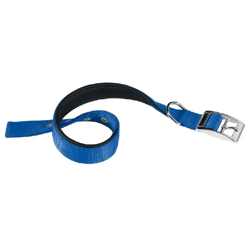 4. **Pet toys are bite-resistant and wear-resistant**Ferplast Daytona C 15/35 Nylon Collar Black